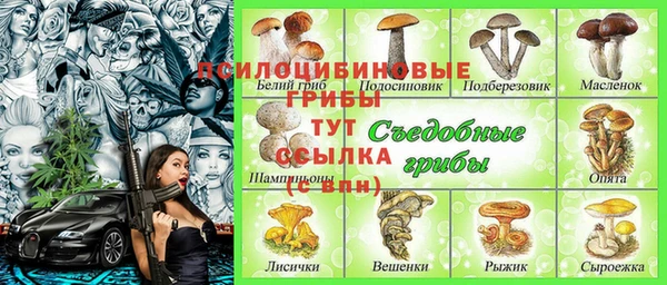 a pvp Зерноград