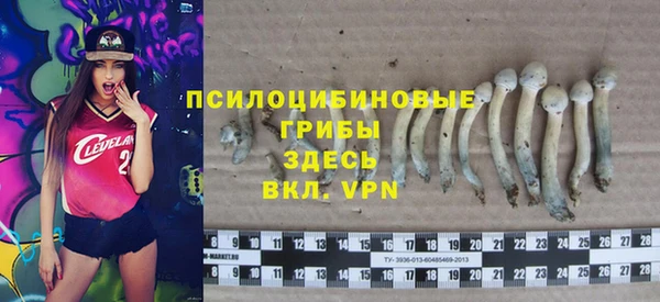 соль ск Зеленодольск