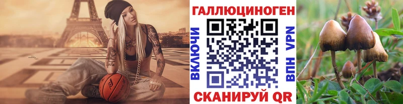Псилоцибиновые грибы MAGIC MUSHROOMS Заречный
